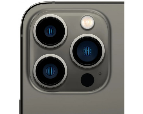 Apple iPhone 13 Pro Max 1TB Graphite Восстановленный