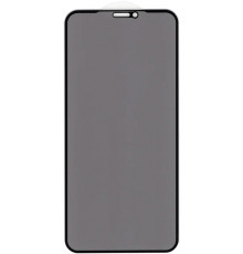 Защитное стекло Privacy Classic для iPhone 11 Pro/X/Xs