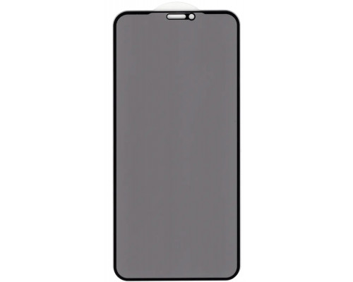 Защитное стекло Privacy Classic для iPhone 12/12 Pro
