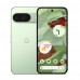 Смартфон Google Pixel 9 12/128GB Wintergreen