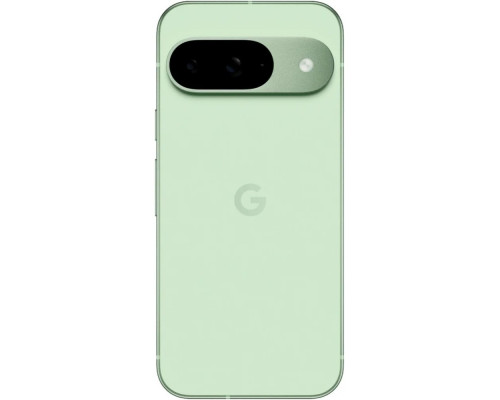 Смартфон Google Pixel 9 12/256GB Wintergreen