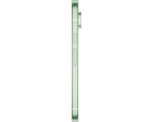 Смартфон Google Pixel 9 12/256GB Wintergreen