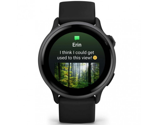 Смарт-часы Garmin Vivoactive 6 Slate with Black Band (010-02985-00/40)
