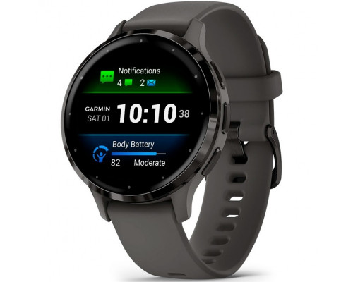 Смарт-часы Garmin Venu 3S Slate Stainless Steel Bezel with Pebble Gray Case and Silicone Band (010-02785-00/50)