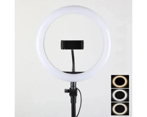 Кільцева лампа LED 26cm Black (QX-260)