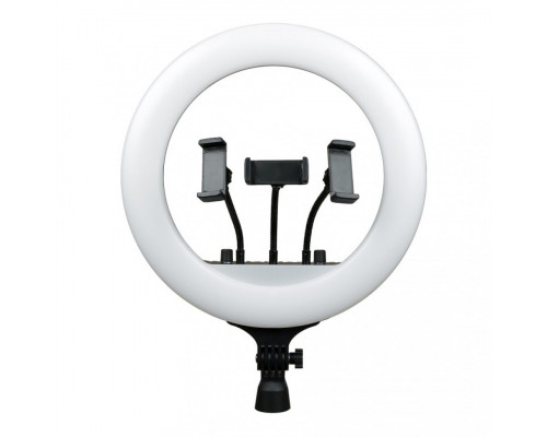 Кільцева LED-лампа Fill Light RL-14 36cm Original