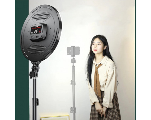 Лампа LED Light Circular 32cm Remote (M666)