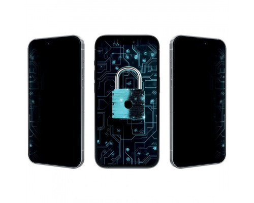 Захисне скло Proove Privacy для iPhone 12 Pro Max Black (PGPPRI12PM01)