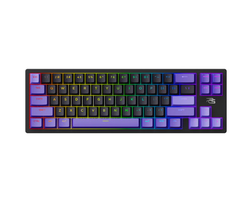 Проводная магнитная клавиатура Proove Gaming Aress (Ukraine Layout) Black/Purple (MKAR00022416)