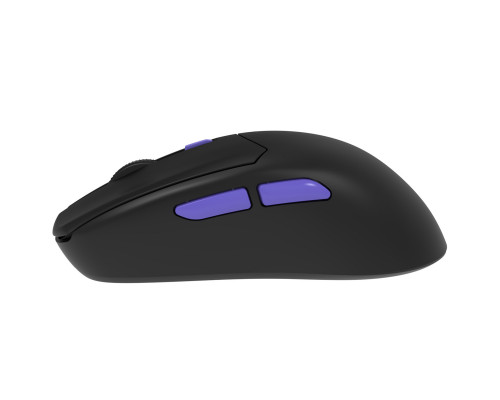 Беспроводная игровая мышь Proove Gaming Everon Black (WMEV00022001)