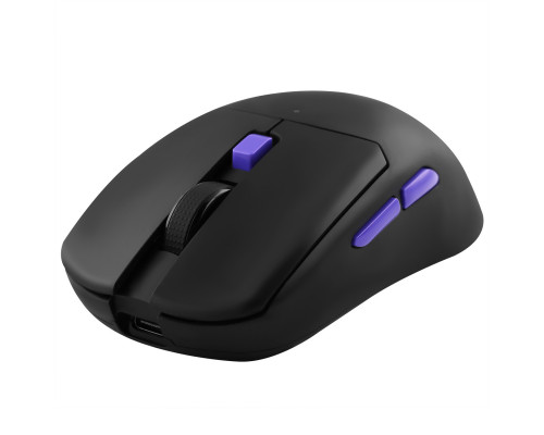 Беспроводная игровая мышь Proove Gaming Everon Black (WMEV00022001)