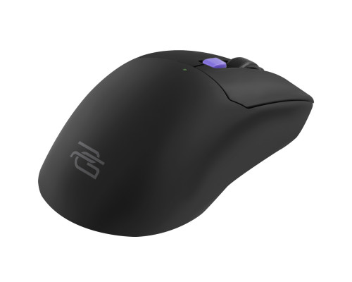 Беспроводная игровая мышь Proove Gaming Everon Black (WMEV00022001)