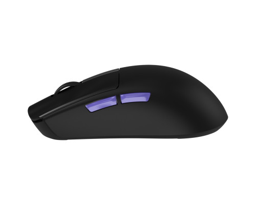 Беспроводная игровая мышь Proove Gaming Jester 8K Black (WMJS00022001)
