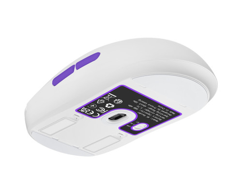Беспроводная игровая мышь Proove Gaming RC Raider 8K White/Purple (WMRR00122017)